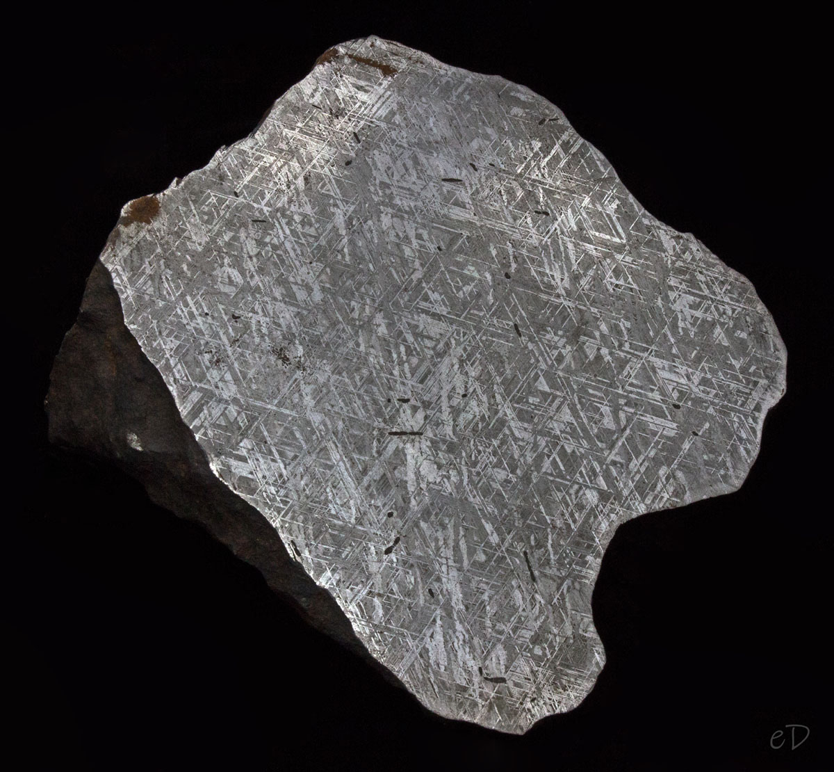 The Gillespe Museum's large iron-nickel meteorite